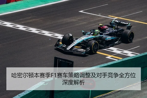 哈密尔顿本赛季F1赛车策略调整及对手竞争全方位深度解析