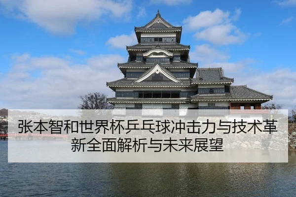 张本智和世界杯乒乓球冲击力与技术革新全面解析与未来展望
